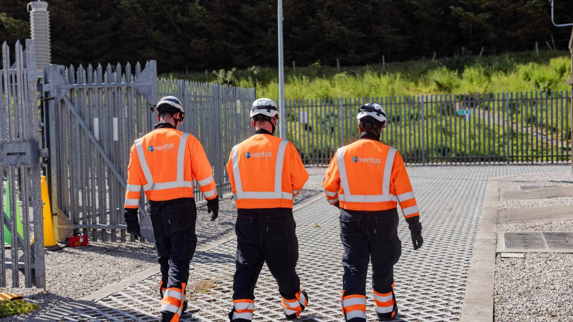 Ventus Elecsys at Black Dog 0115