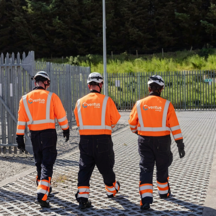 Ventus Elecsys at Black Dog 0115