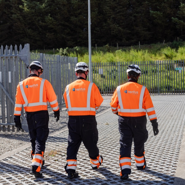 Ventus Elecsys at Black Dog 0115