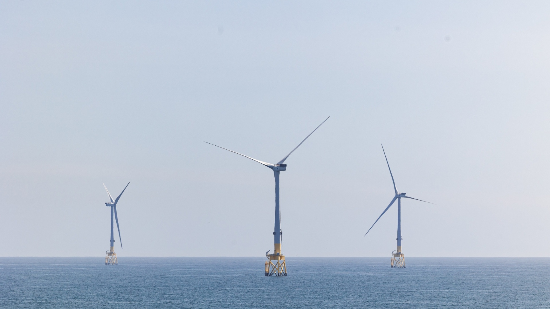 Ventus Elecsys at Black Dog 0179